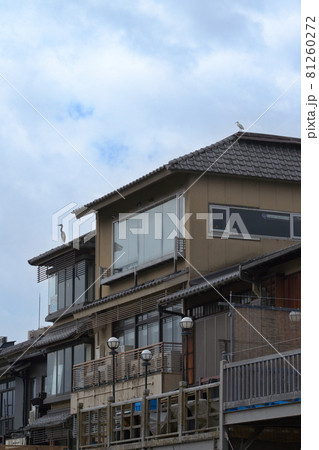 京都鴨川の蒼鷺 81260272