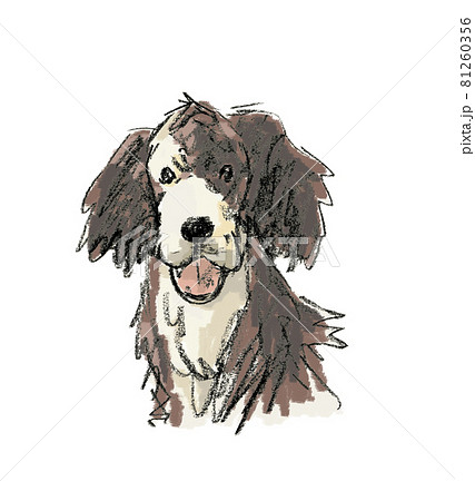 雑種犬 長毛のイラスト素材