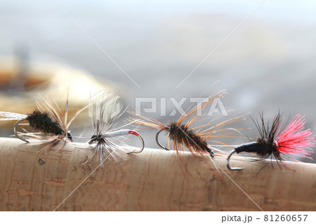 渓流・川釣りに使う毛ばり 渓流・川釣りに使う毛ばり 81260657