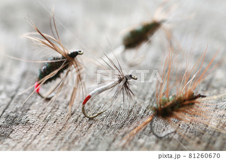 渓流・川釣りに使う毛ばり 81260670