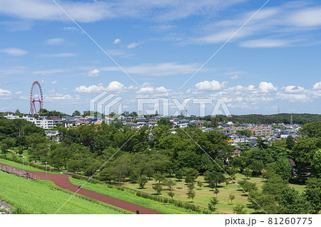 【狭山丘陵】多摩湖より東村山・所沢市街地を望む 81260775