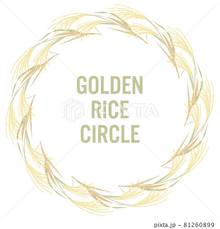 金色の稲穂の円形フレーム ベクターイラスト  81260899