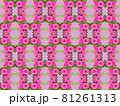 ピンクの油絵風ヒャクニチソウの花の図柄 81261313