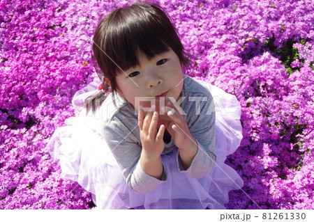 四歳の女の子芝桜のお花畑で 四歳の女の子芝桜のお花畑で 81261330