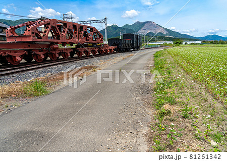 三重県いなべ市大安町の貨物鉄道博物館と春そば畑の道 81261342