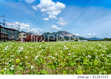 三重県いなべ市大安町の貨物鉄道博物館と春そば畑 81261345