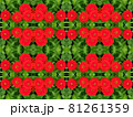 赤い油絵風ヒャクニチソウの花の図柄 81261359