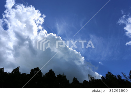 真夏の空に沸き立つ、積乱雲 真夏の空に沸き立つ、積乱雲 81261600