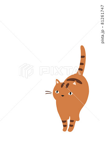 見上げる猫のイラスト トラ猫のイラスト素材