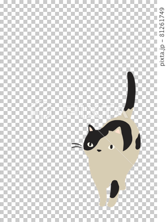 イラスト原画 「見上げる猫」 092a 見上げる猫の横顔 | 下絵工房カルトーネ