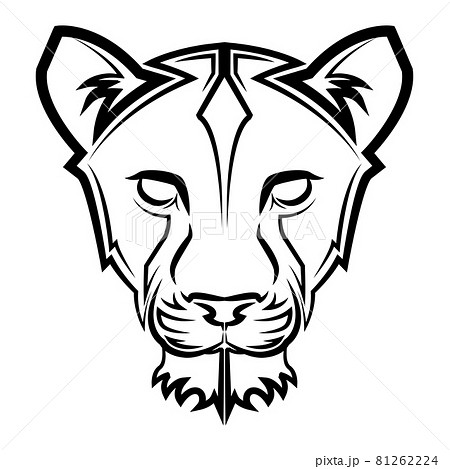 Black And White Line Art Of Lioness Head Good のイラスト素材
