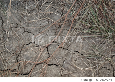 Drought cracked soil texture, plant death, the problem of earth climate change and global warming, crop failure, lack of rainfall, environmental disaster Drought cracked soil texture, plant death, the problem of earth climate change and global warming, crop failure, lack of rainfall, environmental disaster 81262574