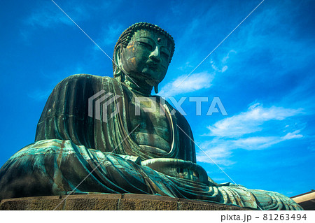 下から見上げた鎌倉大仏の高徳院 81263494