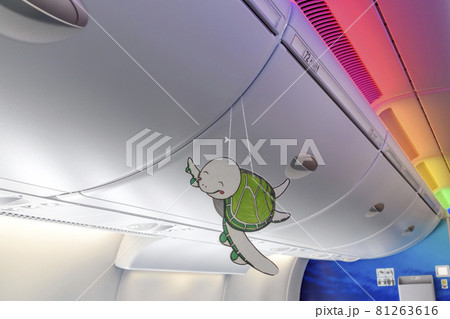 航空機の機内照明と空飛ぶウミガメ 航空機の機内照明と空飛ぶウミガメ 81263616