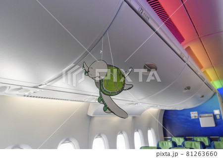 航空機の機内照明と空飛ぶウミガメ 81263660