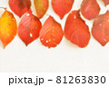 紅葉 81263830