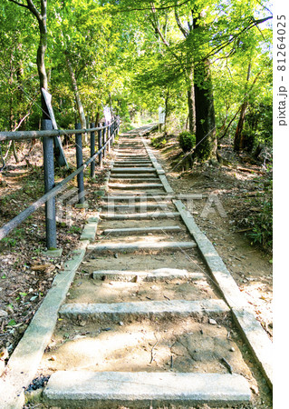 大文字山(如意ヶ嶽)の登山道 京都市東山 大文字山(如意ヶ嶽)の登山道 京都市東山 81264025