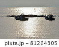 和賀江嶋 81264305