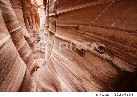 Slot canyon 81264852