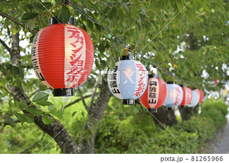 丹波篠山デカンショ祭の提灯 篠山城跡 兵庫県丹波篠山市北新町 の写真素材