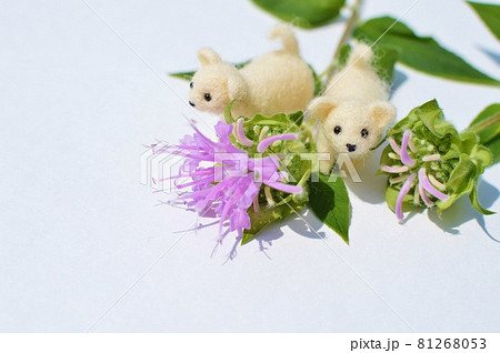 ピンク色のモナルダと羊毛フェルトの子犬 81268053