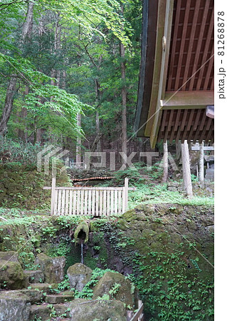 諏訪大社（すわたいしゃ）は、我国最古の神社の一つであり、全国一万有余の諏訪神社の総本社です。 81268878