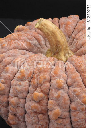 菊かぼちゃ(ニホンカボチャ) 菊かぼちゃ(ニホンカボチャ) 81269272