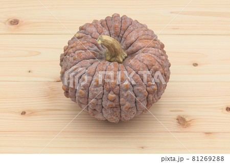 菊かぼちゃ(ニホンカボチャ) 菊かぼちゃ(ニホンカボチャ) 81269288