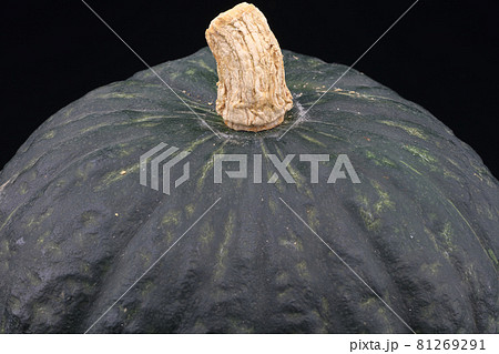 西洋カボチャの黒皮栗カボチャ（えびすなんきん） 81269291