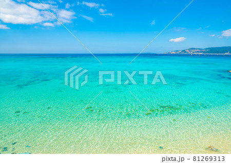 沖縄の海 81269313