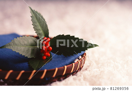 イメージ写真 81269356