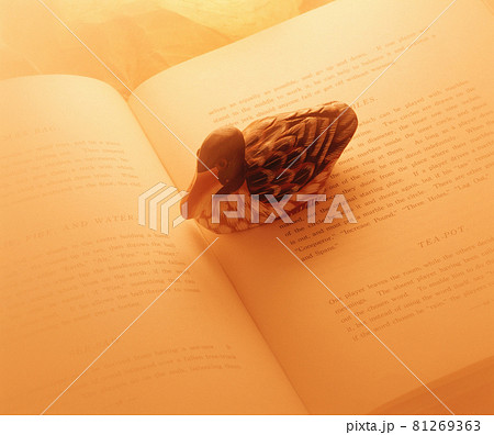 イメージ写真 イメージ写真 81269363