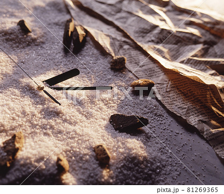 イメージ写真 81269365