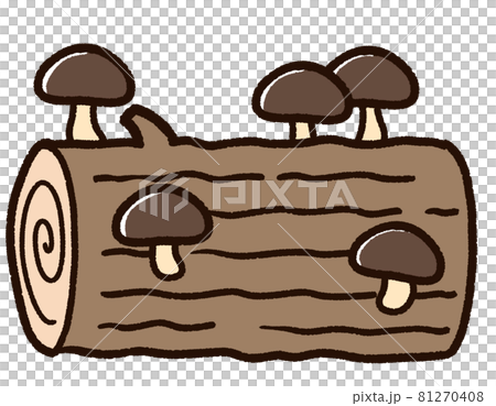 Cultivation of shiitake mushrooms 81270408