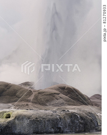 ニュージーランド テ・プイア ポフツガイザー間欠泉 Rotorua, New Zealand 81270933