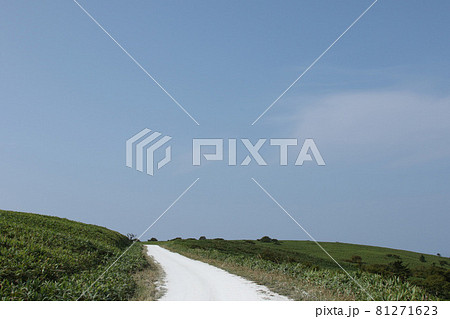 宗谷丘陵 最北の白い道 白い道 シェルロード 宗谷丘陵 最北の白い道 白い道 シェルロード 81271623