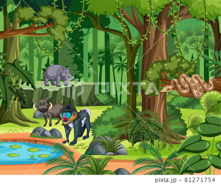 Tropical rainforest scene with various wild animals 81271754