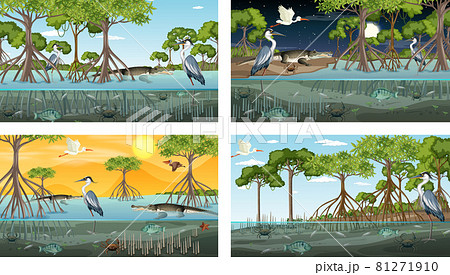 Different mangrove forest landscape scenes with various animals 81271910