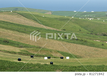 宗谷丘陵　宗谷丘陵周氷河地形　北海道遺産 81271942
