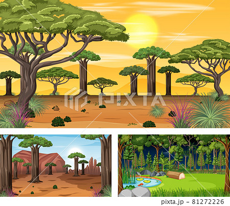 Set of different forest horizontal scenes 81272226