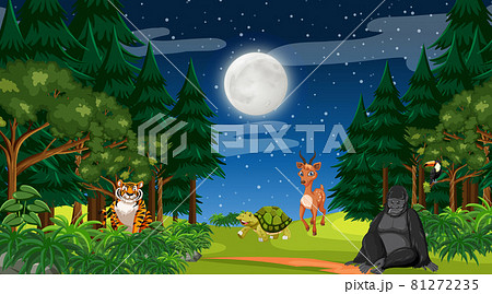 Forest at night time scene with different wild animals 81272235