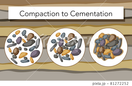 Process of compaction to cementation for education 81272252