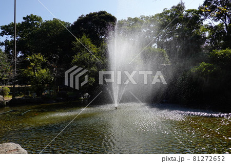 柿田川公園 柿田川公園 81272652