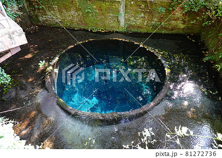 第二展望台 81272736