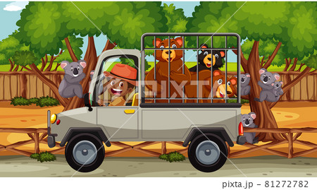 Safari scene with many bears in a cage car Safari scene with many bears in a cage car 81272782
