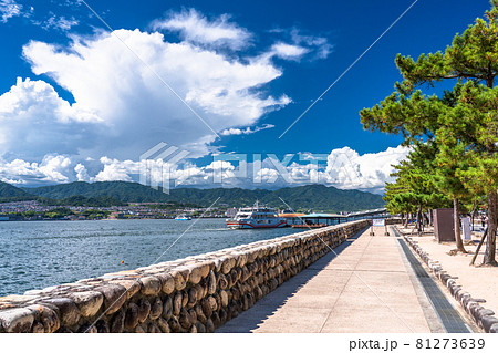 《広島県》夏空の瀬戸内海・宮島フェリー 81273639