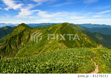 青空と谷川連峰縦走路・オジカ沢ノ頭(上越国境) 青空と谷川連峰縦走路・オジカ沢ノ頭(上越国境) 81276231