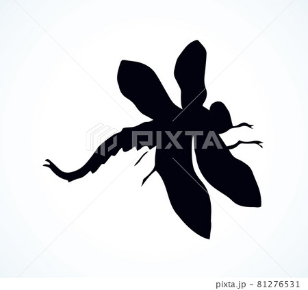 Dragonfly. Vector drawing Dragonfly. Vector drawing 81276531