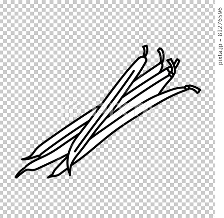 インゲン豆 野菜 イラスト 白黒 モノクロ のイラスト素材