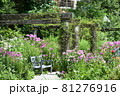 蓼科バラクライングリッシュガーデン8月 81276916